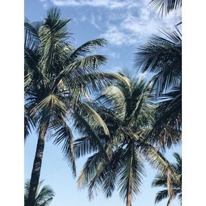 Meet your Posher, Reece